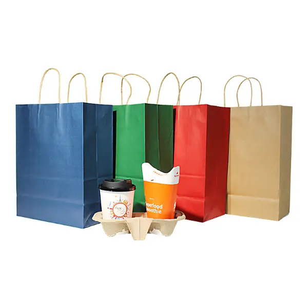 Stockez de grands sacs cadeaux en papier kraft avec des anses, disponibles en plusieurs couleurs unies