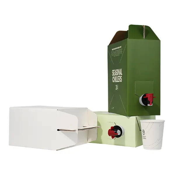 Emballage personnalisé en sac dans boîte montrant la structure du sac plat et la forme assemblée
