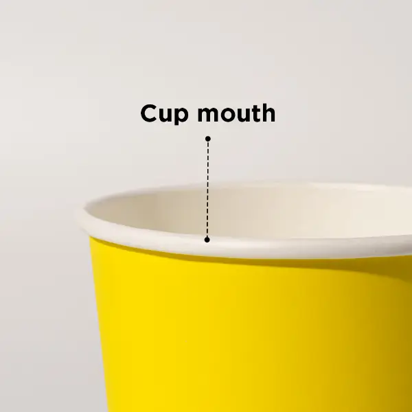 Plan rapproché de la bouche en gobelet en papier montrant la structure lisse du rebord