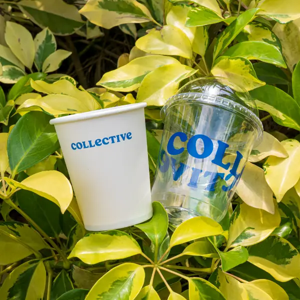 Coupe de glace PET transparente avec impression personnalisée exposée dans un jardin extérieur