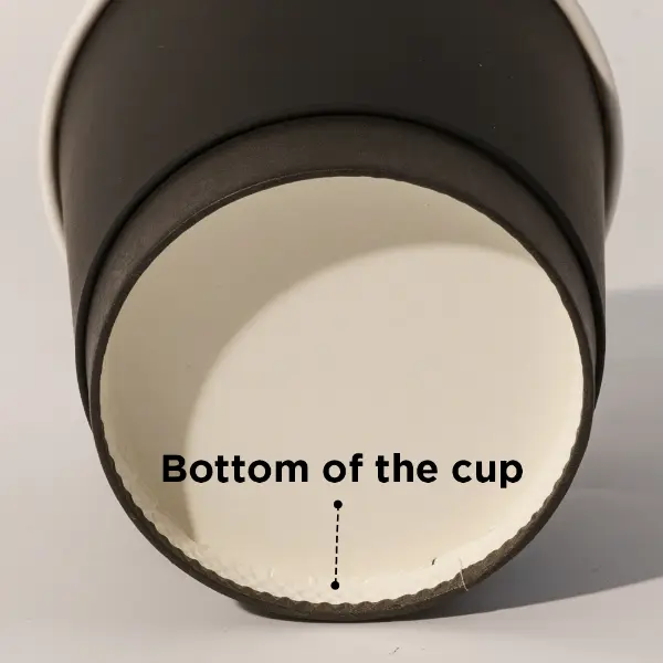 Structure inférieure du gobelet en papier doux au toucher montrant une base sécurisée et anti-fuite