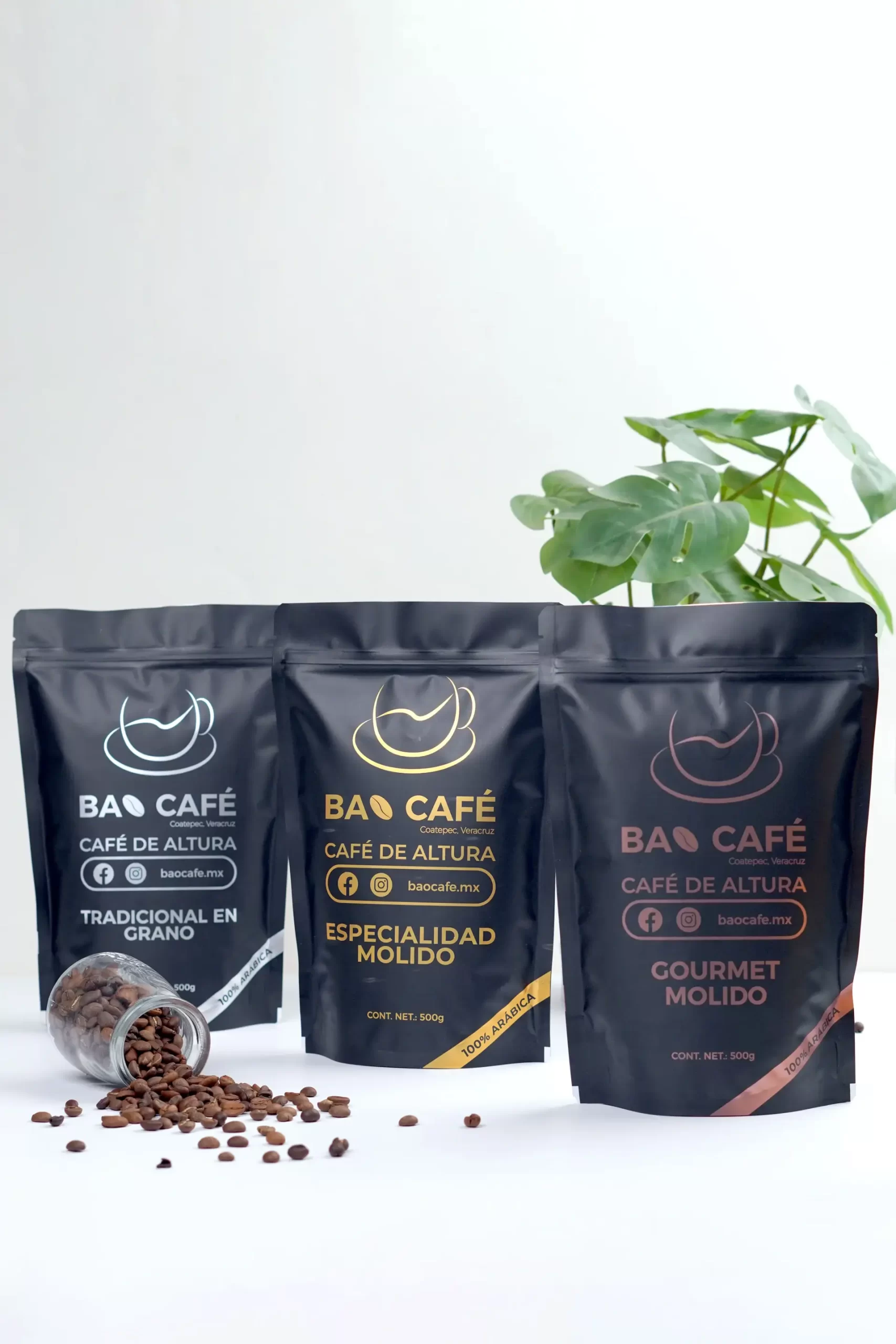 Sacs de café à fond de boîte