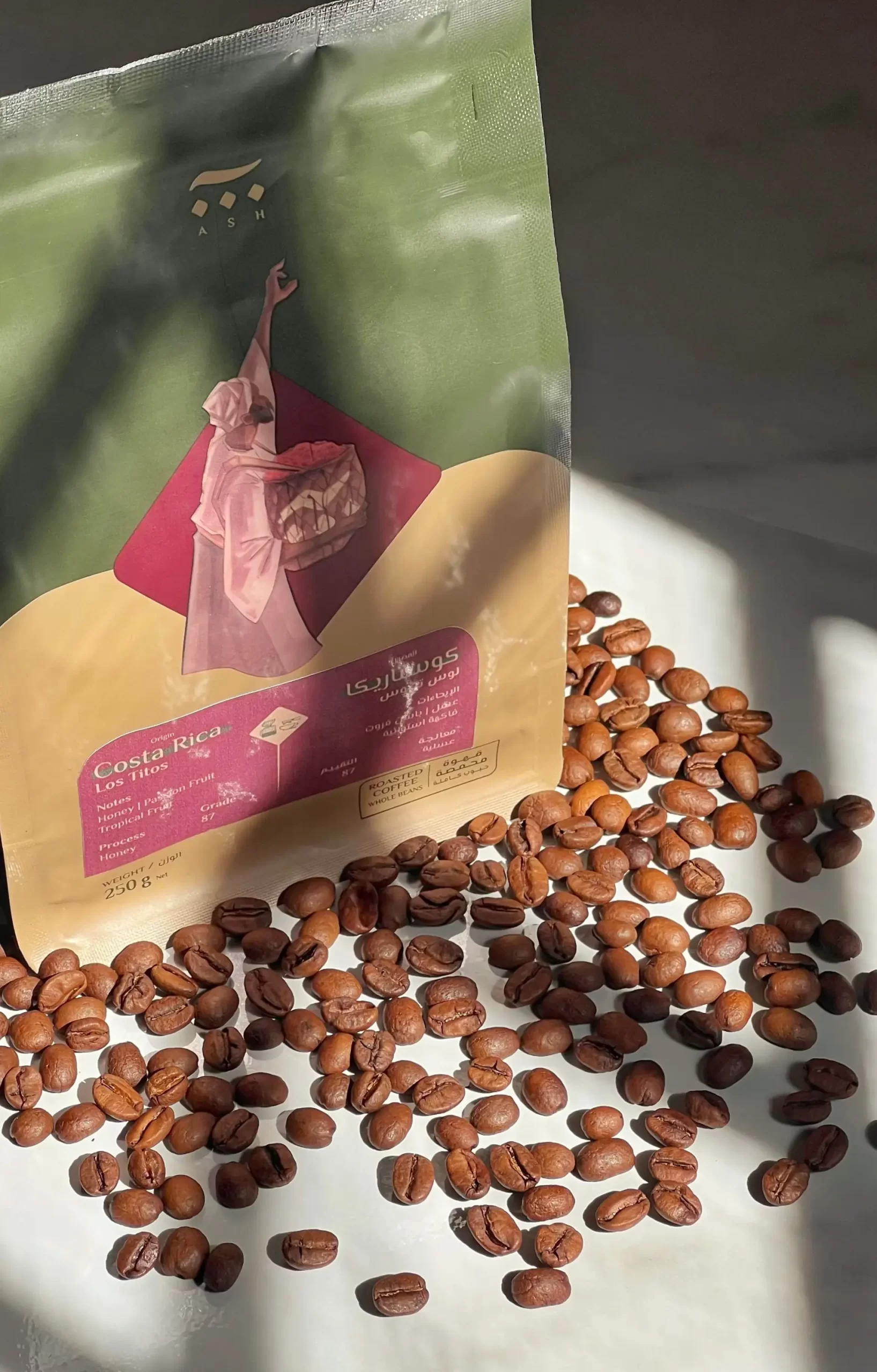 Boîte debout-sachet-sacs-sacs-cafés